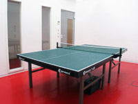 TravelTrex Tischtennisplatte TravelTrex Tischtennisplatte